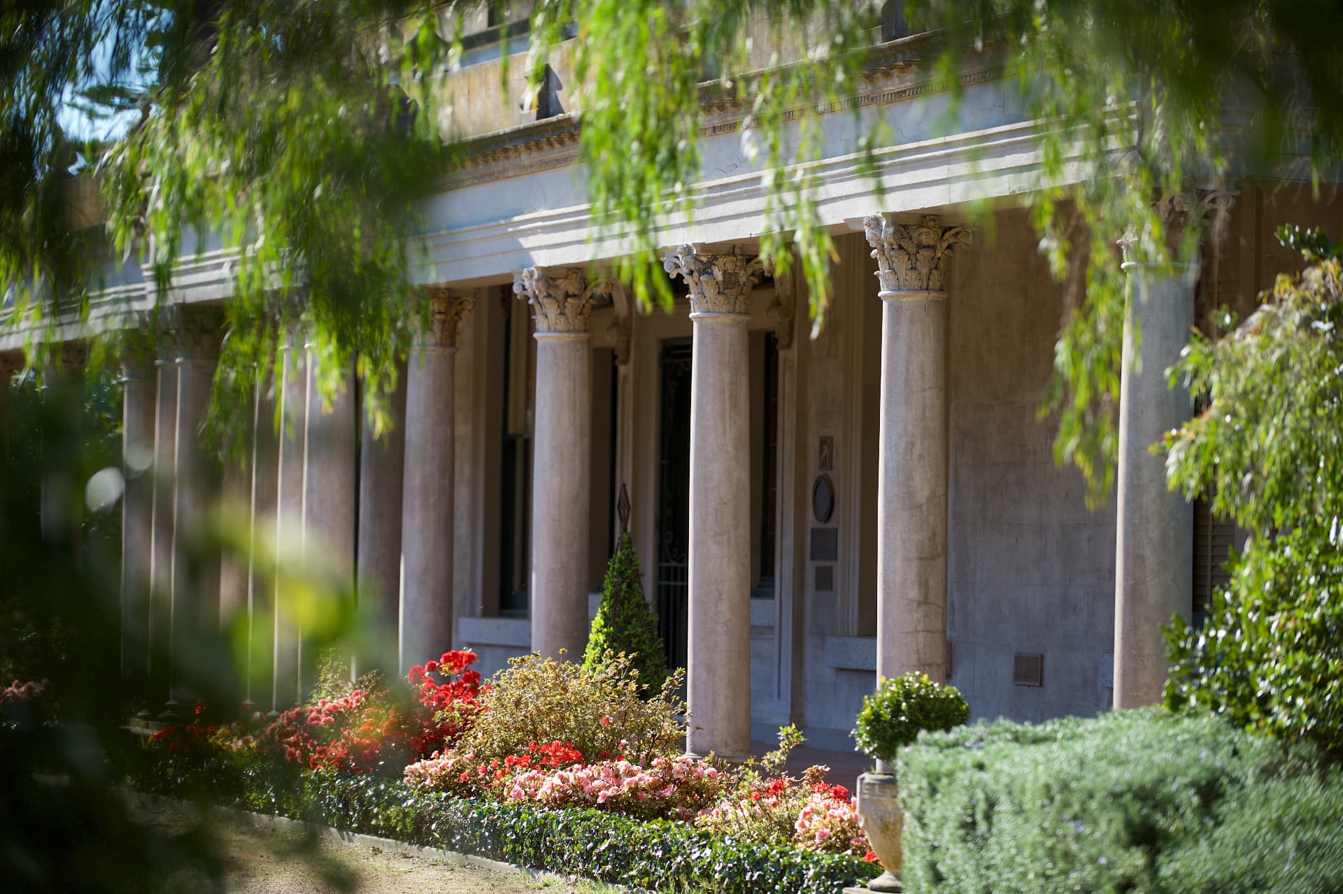 Mansion colonnade behind beds of red and pink azaleas